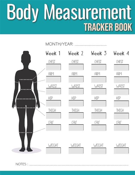 Exploring BaceRocks' Body Measurements