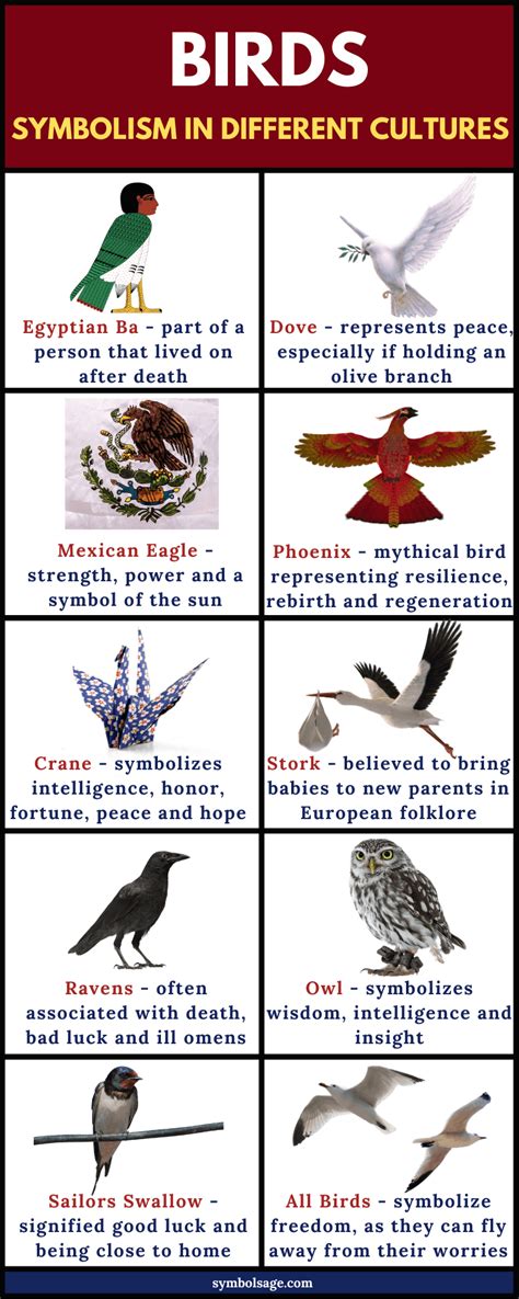 Exploring Bird Symbolism in Various Cultures