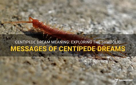 Exploring Centipede Dreams and Personal Growth: Enhancing Self-awareness Through Symbolism