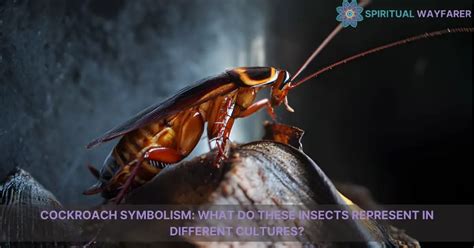 Exploring Cockroach Dream Symbolism: Unveiling Transformation Through Revulsion