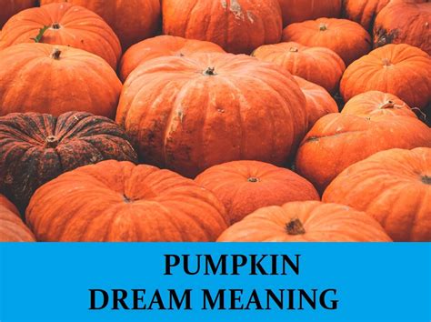 Exploring Common Dream Scenarios Involving Pumpkins and Their Meanings