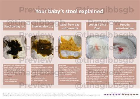 Exploring Common Scenarios of Dreaming About Baby Stools and Their Interpretations