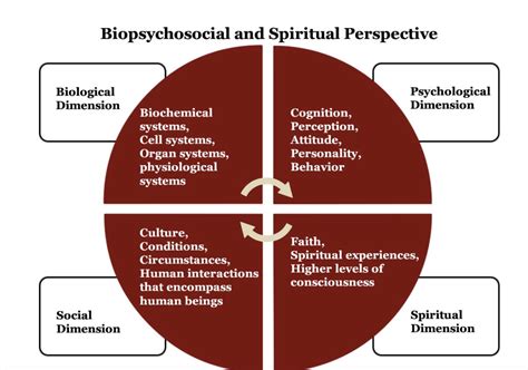 Exploring Connections to Psychological and Spiritual Aspects