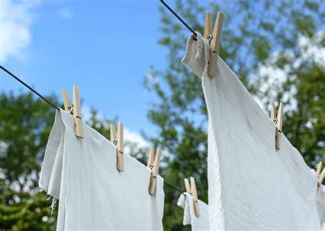 Exploring Cultural Perspectives on Laundry Drying Dreams