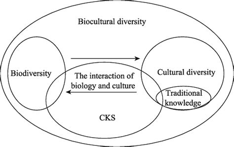 Exploring Cultural Significance and Connotations of Coral Snakes