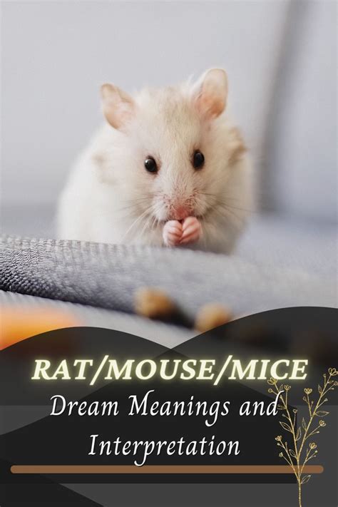 Exploring Cultural and Historical Perspectives on Rats and Mice in Dream Interpretation