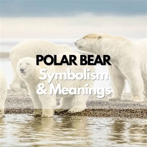 Exploring Cultural and Historical Perspectives on the Symbolism of Polar Bears in Dreams