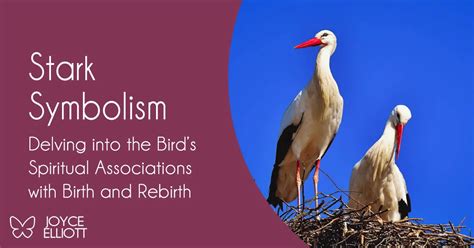 Exploring Cultural and Spiritual Associations with Vibrant Bird Dreams