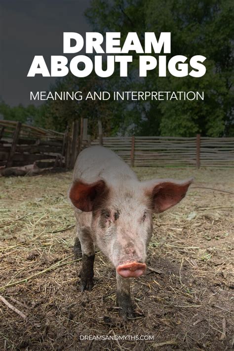 Exploring Different Interpretations and Cultural Beliefs Surrounding Pig Dreams