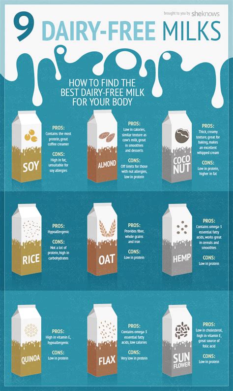 Exploring Different Milk Options