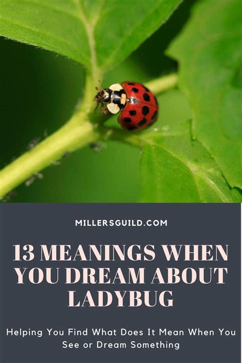 Exploring Different Scenarios: The Various Manifestations of Ladybug Dreams