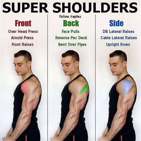 Exploring Different Training Approaches for Shoulder Growth