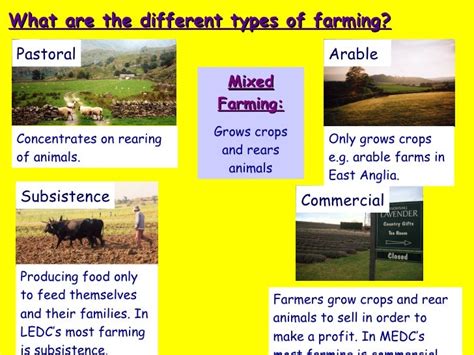 Exploring Different Types of Farms: From Traditional to Modern