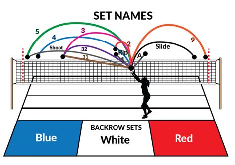 Exploring Different Types of Volleyball Nets for Various Settings