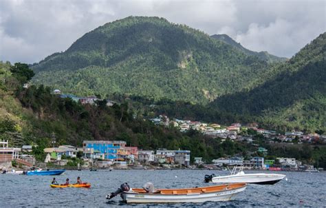 Exploring Dominica's Income and Financial Ventures