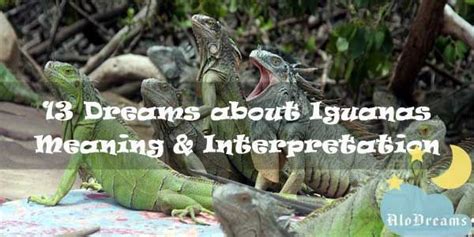 Exploring Dream Motifs: The Pursuit and Presence of Iguanas