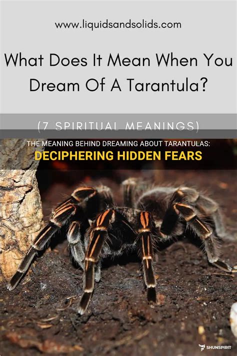 Exploring Fear and Anxiety: Unveiling the Symbolism Behind the Presence of Tarantulas