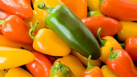 Exploring Jalapeno Pepper Varieties: Beyond Basic Options