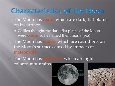 Exploring Jessie Moons' Physical Characteristics