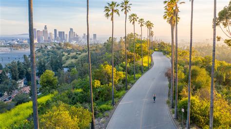 Exploring La Bust's Early Life and Background