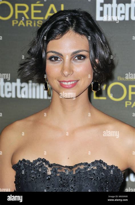 Exploring Morena Baccarin's Path in the Entertainment Industry