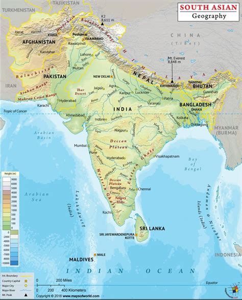 Exploring Paruliyaa's Physical Characteristics