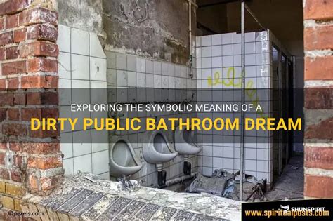 Exploring Personal Anxieties Reflected in Unsanitary Public Lavatory Envisions