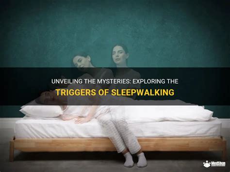 Exploring Potential Causes and Triggers for Intriguing Sleep Experiences