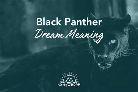 Exploring Potential Correlations Between Panther Dreams and Personal Life