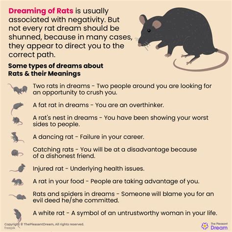 Exploring Rat Dreams in Psychology and Psychoanalysis