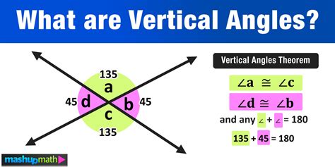 Exploring Renee's Vertical Measurement