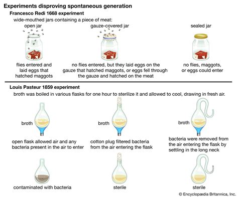 Exploring Scientific Hypotheses on the Underlying Factors of Spontaneous Motion in Reveries