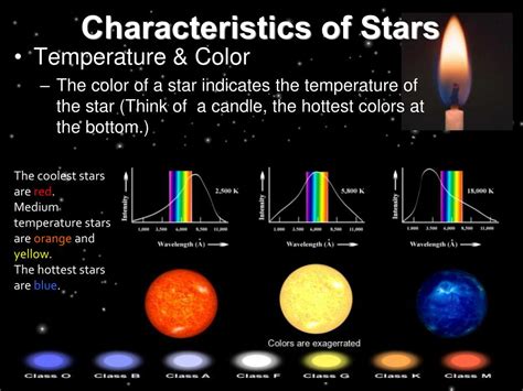 Exploring Star Shine's Physical Appearance