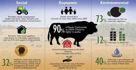 Exploring Sustainable and Ethical Options for High-Quality Beef