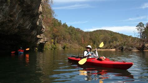 Exploring The Travel Experiences and Journeys of OzarkHippie