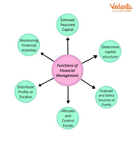 Exploring Various Roles in the World of Finance