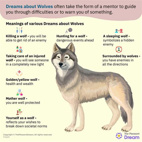 Exploring Wolf Dreams: A Deeper Investigation