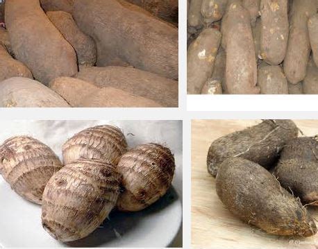 Exploring Yam Tubers as a Metaphor for Growth and Transformation