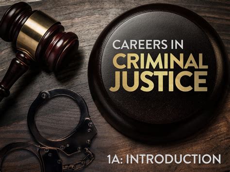 Exploring a Path in Criminal Justice: Embracing a Promising Future