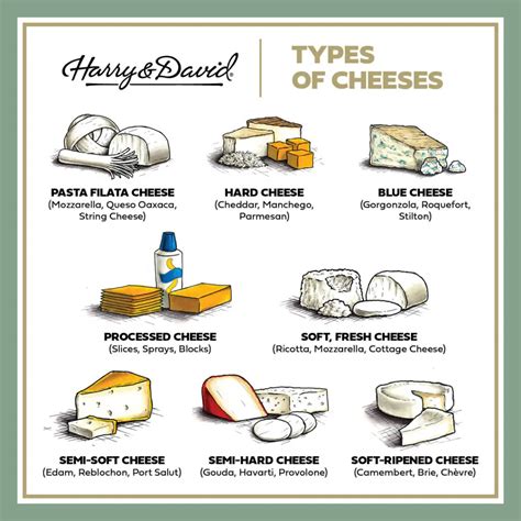 Exploring a Plethora of White Cheese Varieties