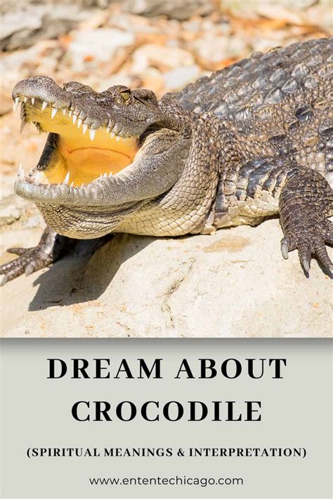 Exploring diverse interpretations of dreams featuring encounters with crocodiles