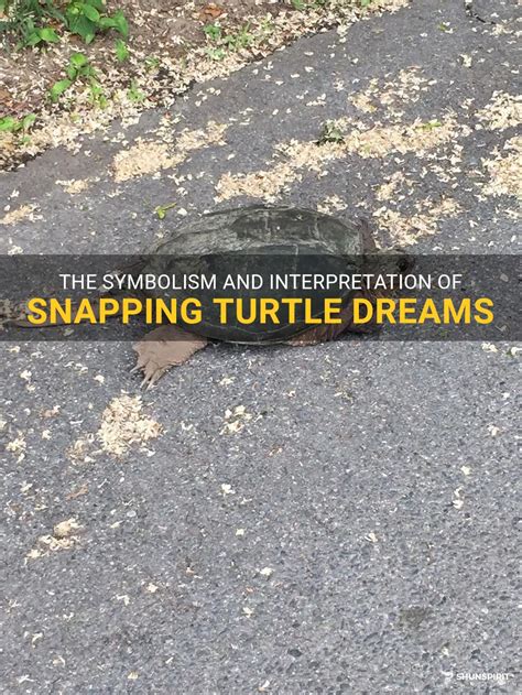 Exploring the Anxiety and Vulnerability Associated with Dreams of Snapping Turtle Encounters