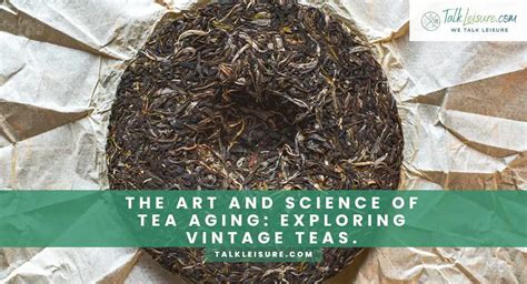 Exploring the Art of Tea Infusion