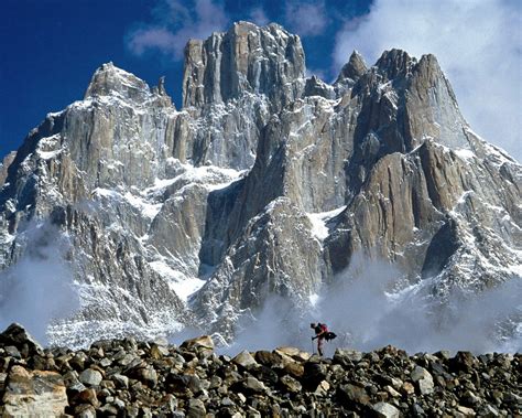 Exploring the Astonishing Biodiversity of Mountain Ecosystems 