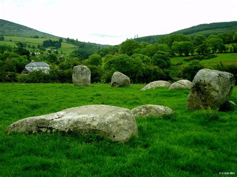 Exploring the Background of Piper Stone