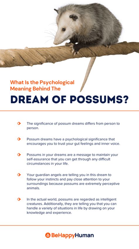 Exploring the Behavior of Possums in Dreams