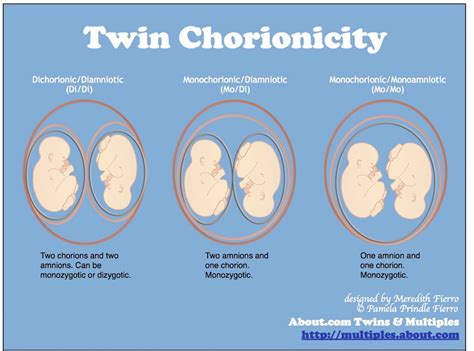 Exploring the Biological Explanation for Dreaming of Twin Infants During Gestation