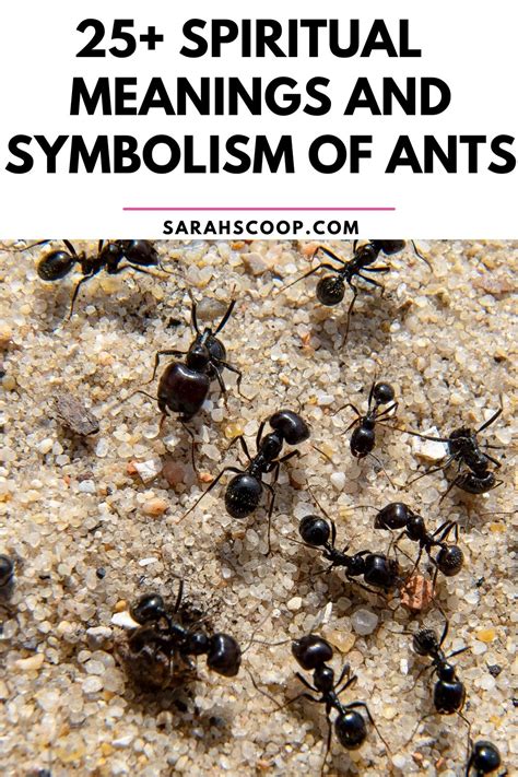 Exploring the Collective Symbolism of Ants