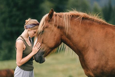 Exploring the Connection Between Horse Pursuit Dreams and Anxiety