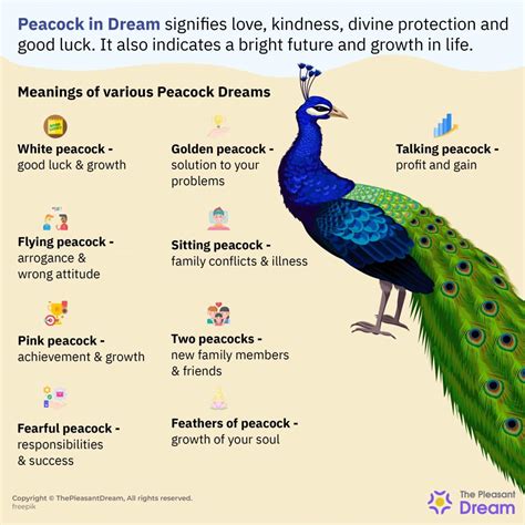 Exploring the Connection Between Peacock Dreams and Personal Growth